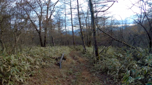 photo0001
